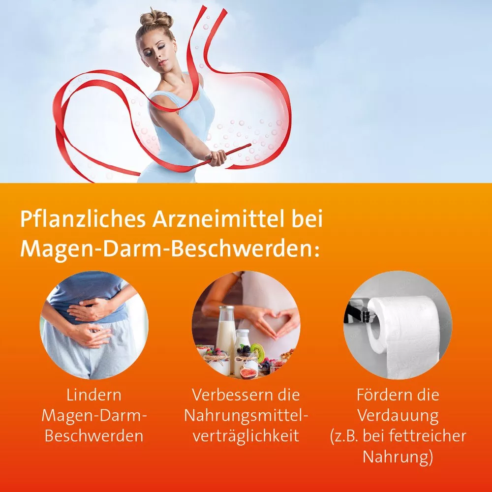 Digesto Hevert injekt bei Verdauungsbeschwerden 10 Ampullen